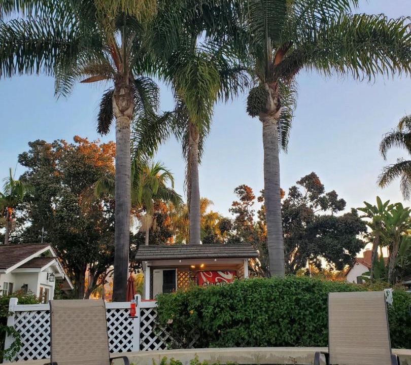 Photo of Others in West Beach