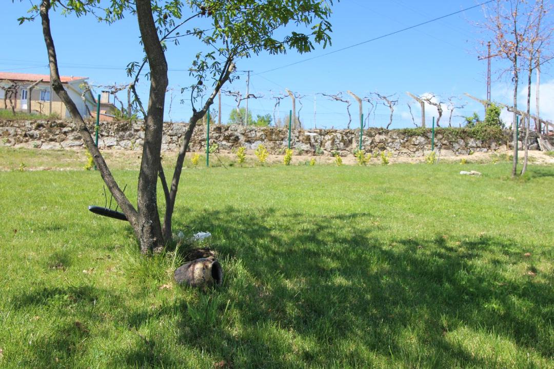 Photo of Others in Baiao