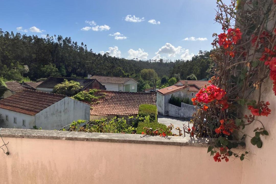 Photo of Others in Albergaria-a-Velha