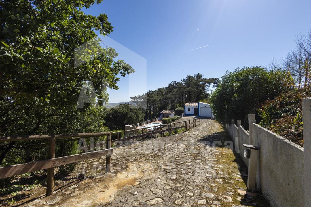 Photo of Others in Ericeira