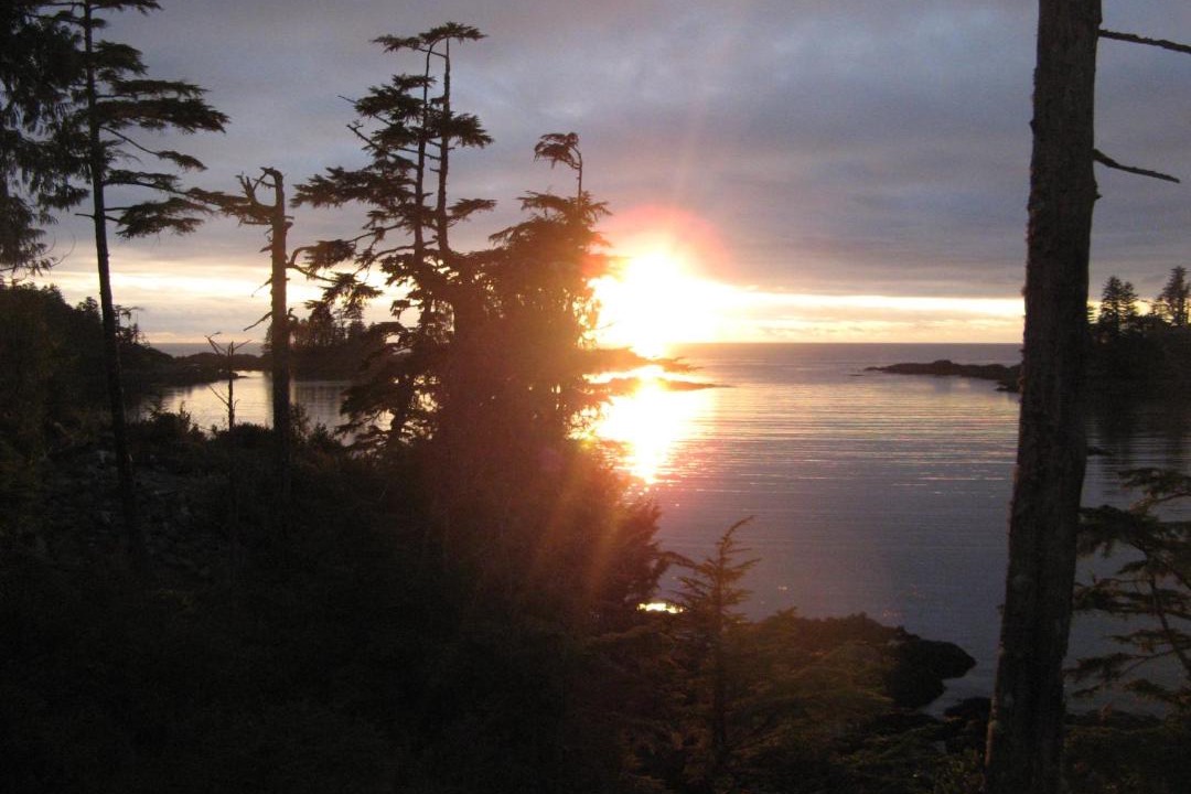 Photo of Others in Ucluelet