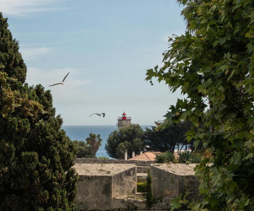 Photo of Others in Cascais