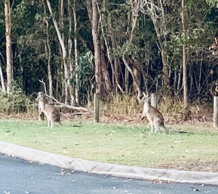 Photo of Others in Sandstone Point