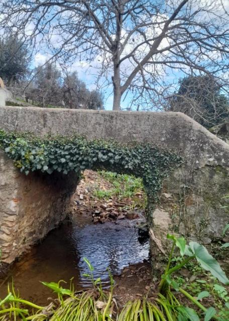 Photo of Others in Portalegre