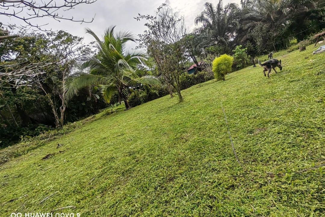 Photo of Others in Rio Claro