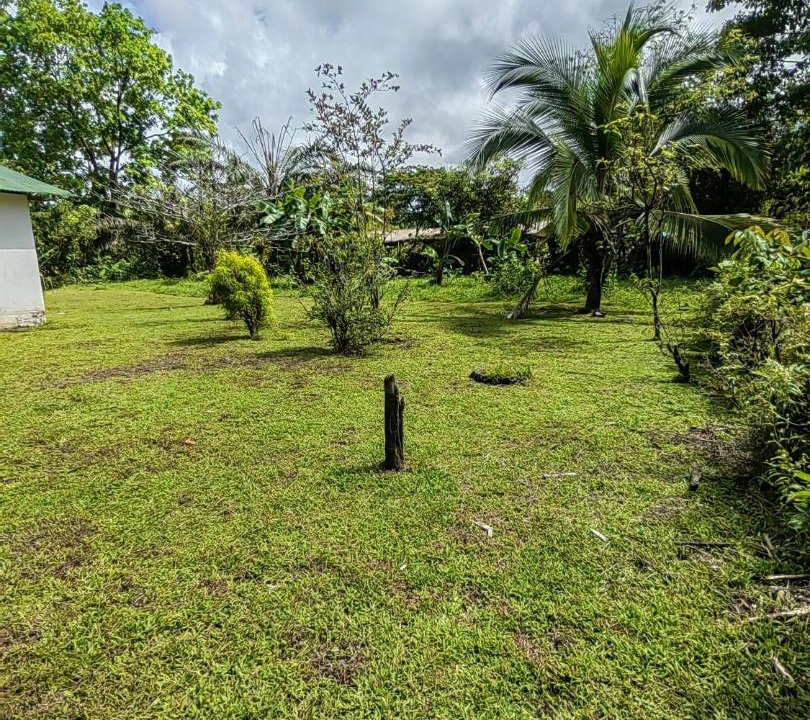 Photo of Others in Rio Claro