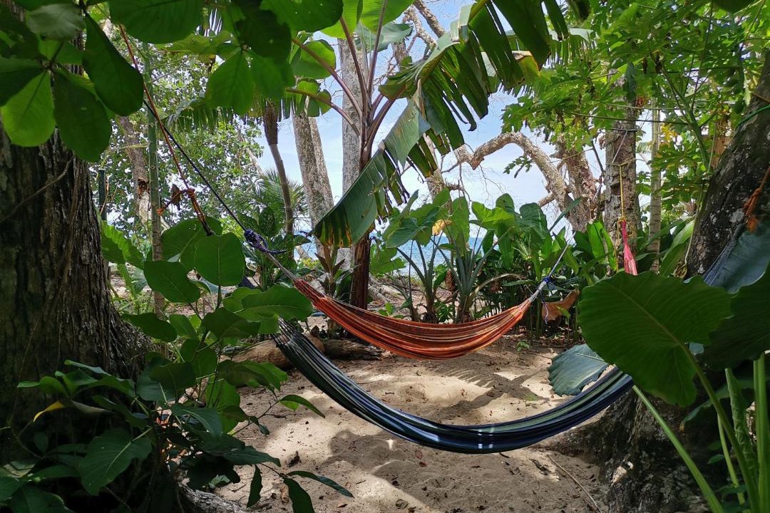 Photo of Others in Puerto Viejo de Talamanca