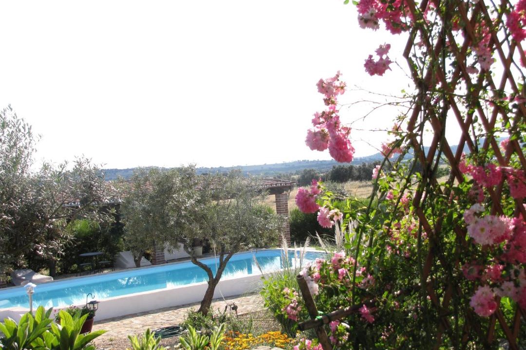 Photo of Outdoor in Vila Nova da Baronia