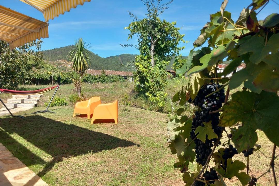Photo of Others in Oliveira de Frades