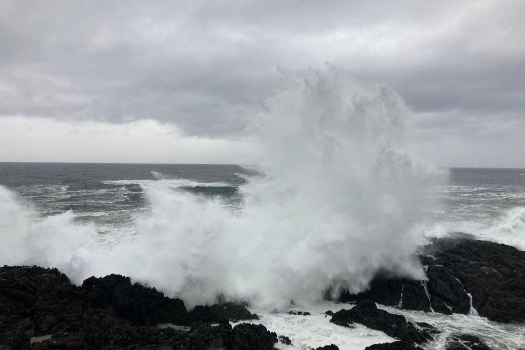 Photo of Others in Ucluelet