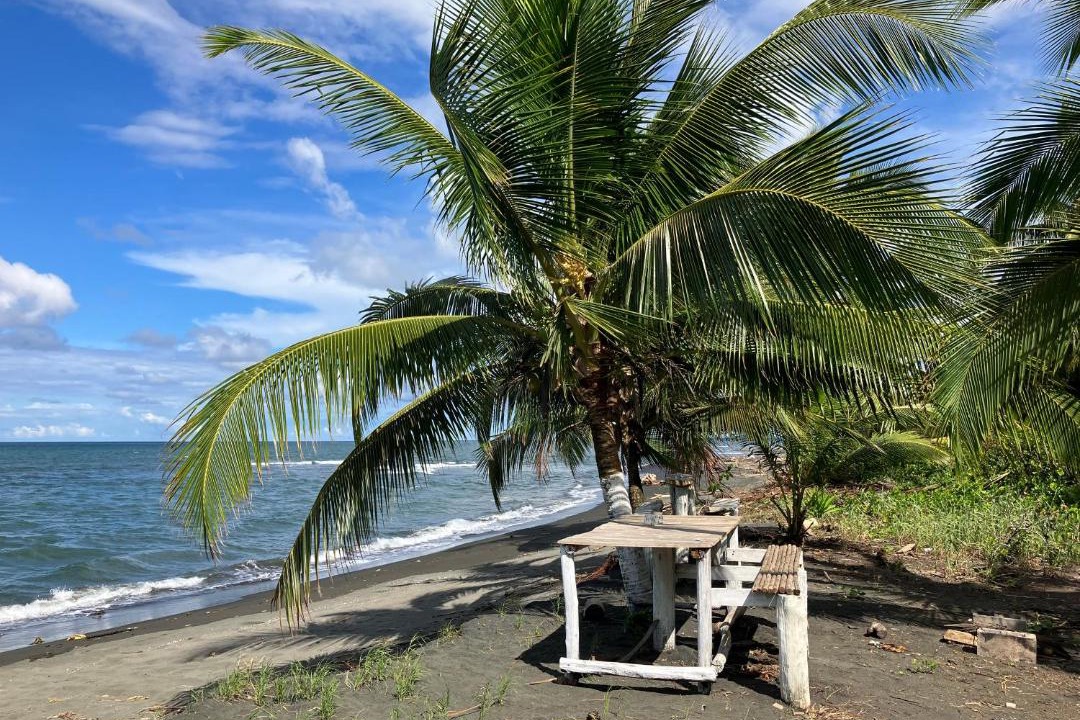 Photo of Others in Cahuita
