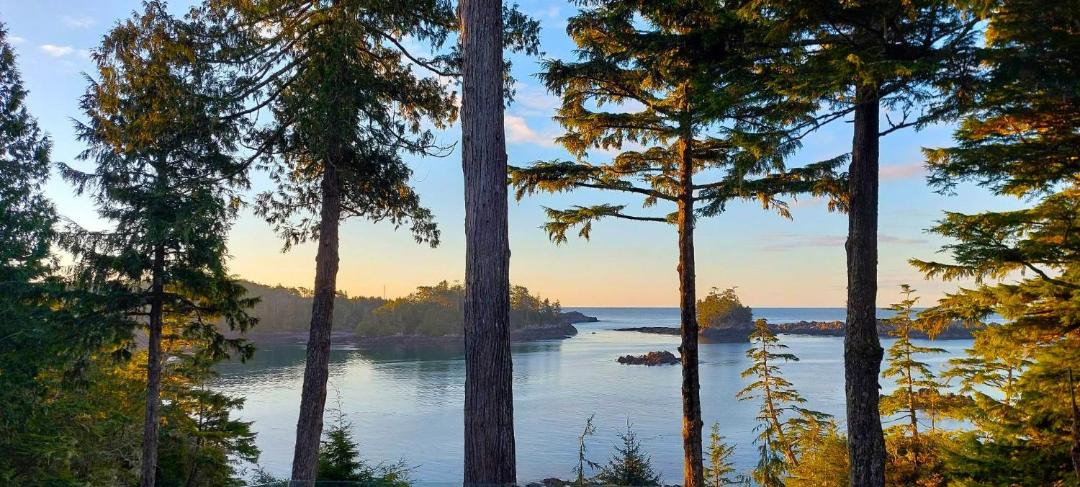 Photo of Others in Ucluelet