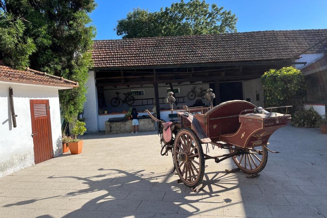 Photo of Others in Aveiro