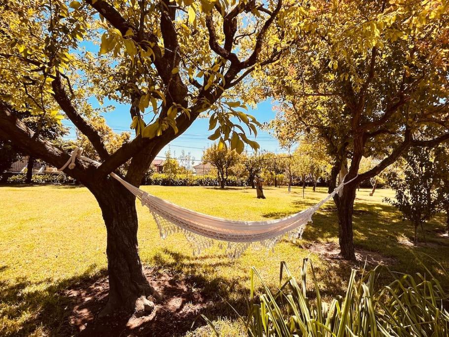 Photo of Outdoor in Troviscal