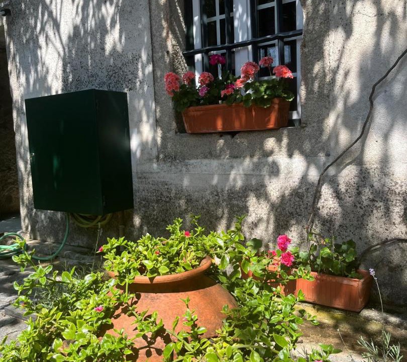 Photo of Others in Pinhel
