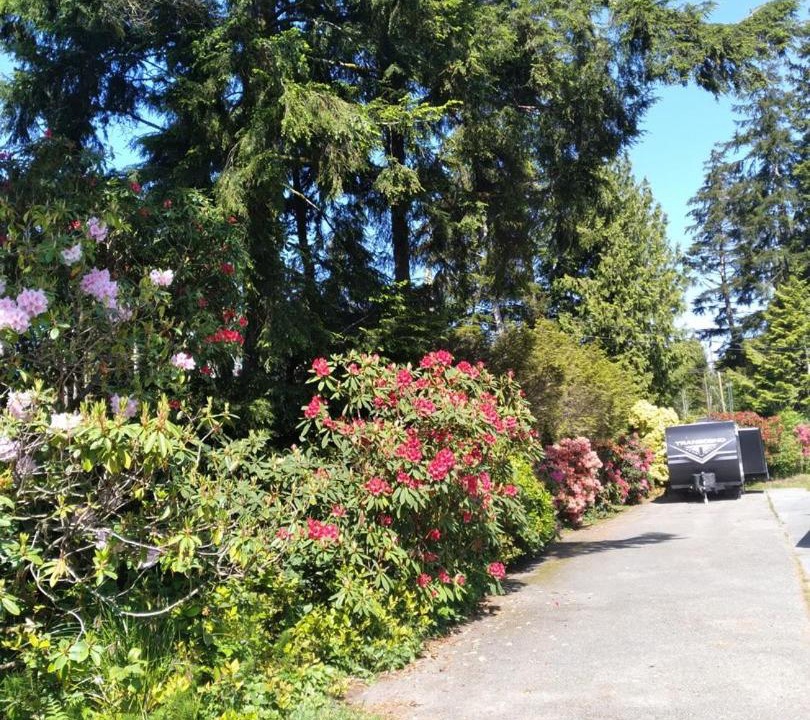 Photo of Others in Tofino