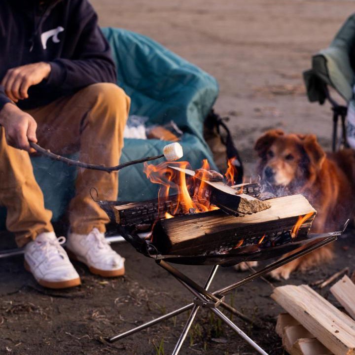 Photo of Human In Picture in Tofino