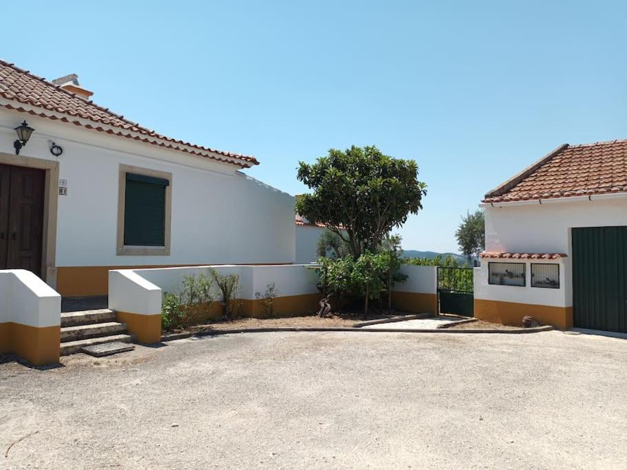 Photo of Buildings in Tomar