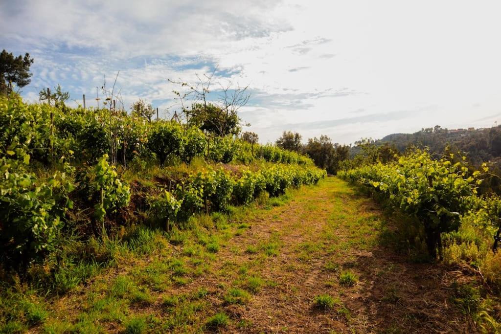Photo of Outdoor in Tomar