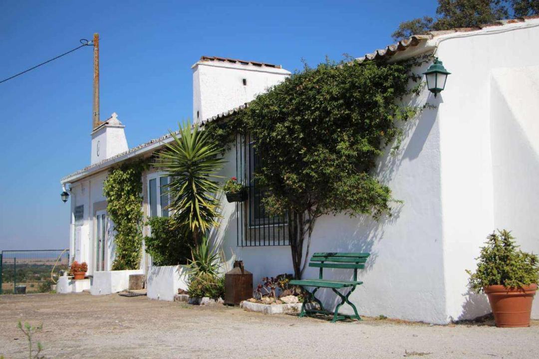 Photo of Buildings in Evora