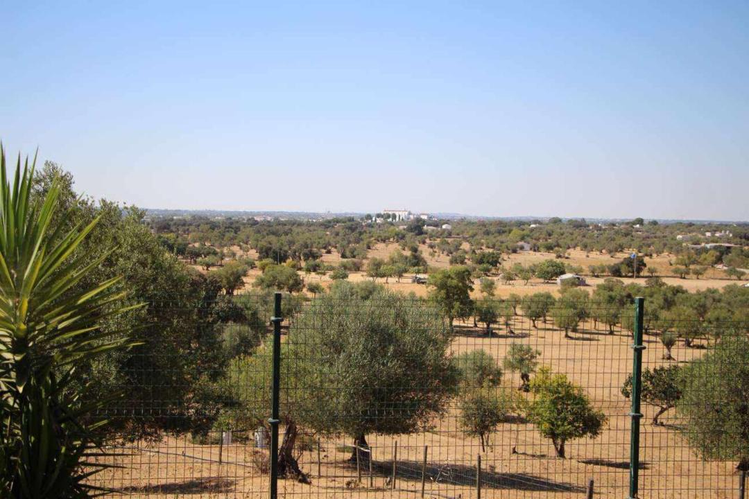 Photo of Outdoor in Evora