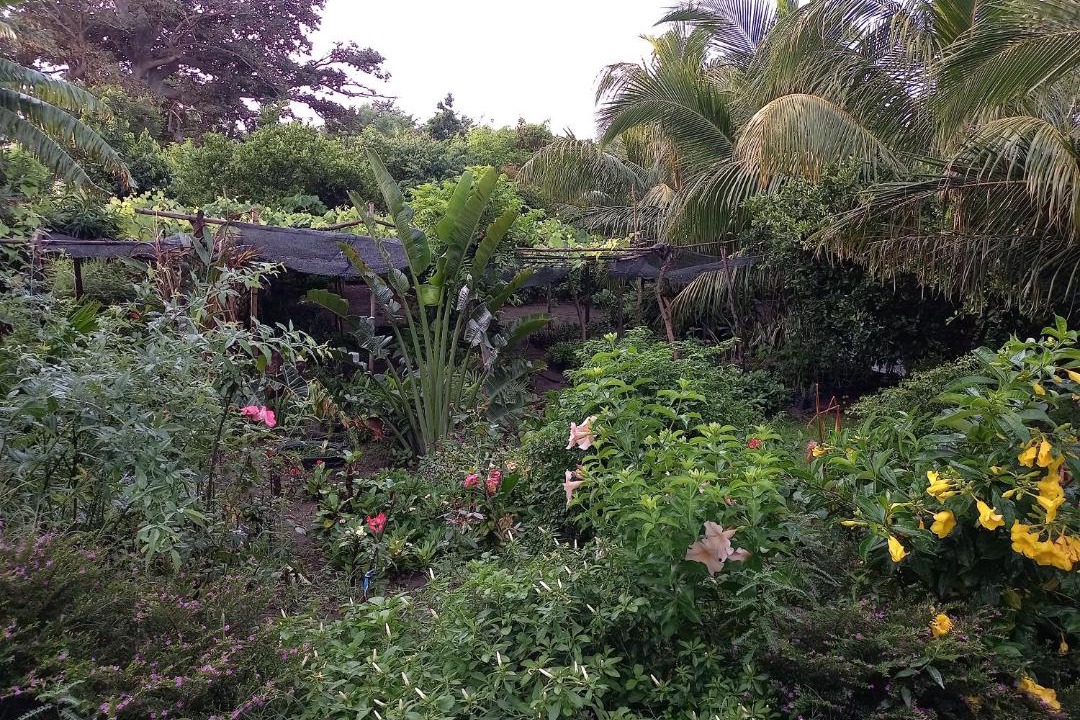 Photo of Outdoor in Rivas