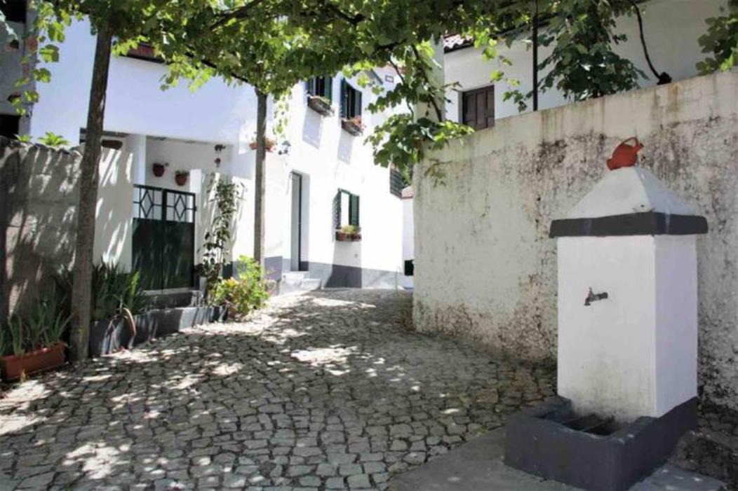 Photo of Buildings in Figueiro dos Vinhos