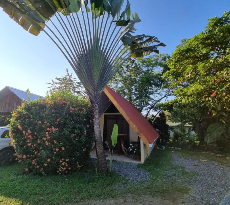 Photo of Others in Uvita
