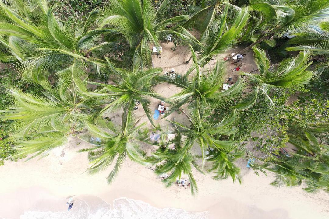 Photo of Others in Punta Uva