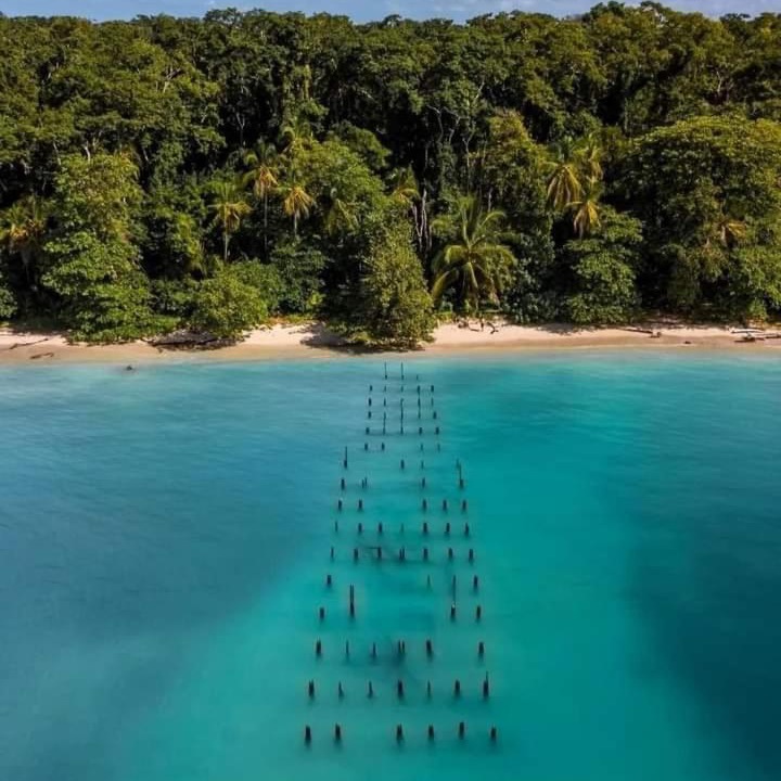 Photo of Others in Cahuita