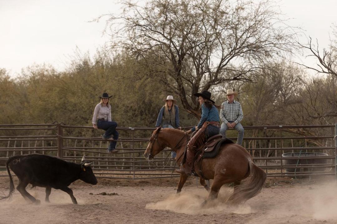 Photo of Others in Wickenburg