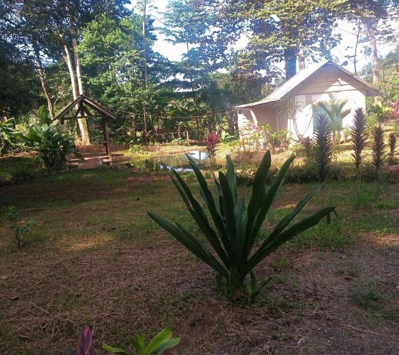 Photo of Others in Drake Bay