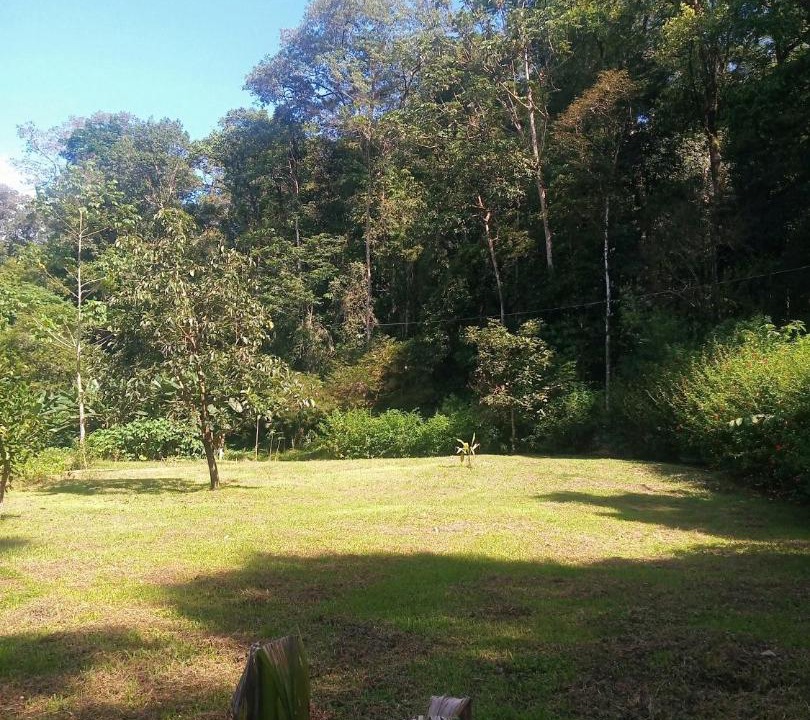Photo of Outdoor in Drake Bay