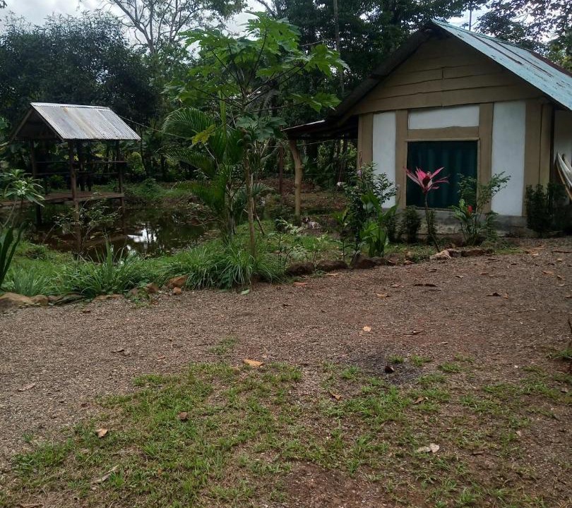Photo of Buildings in Drake Bay