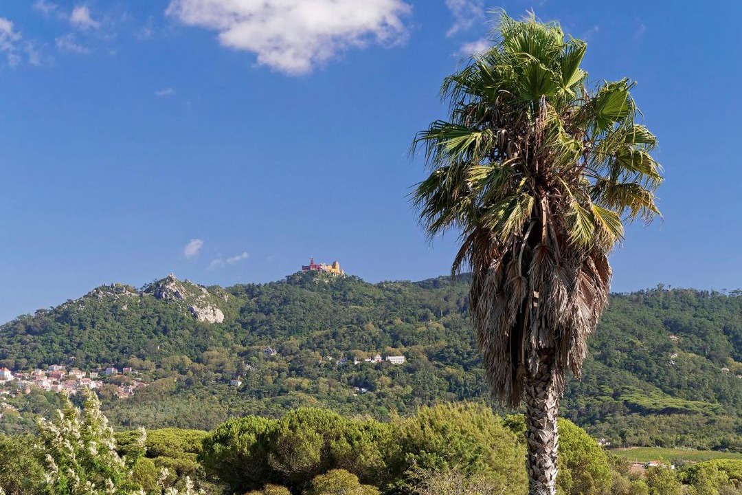 Photo of Others in Monserrate