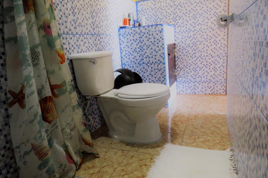 Photo of Bathroom in Moyogalpa