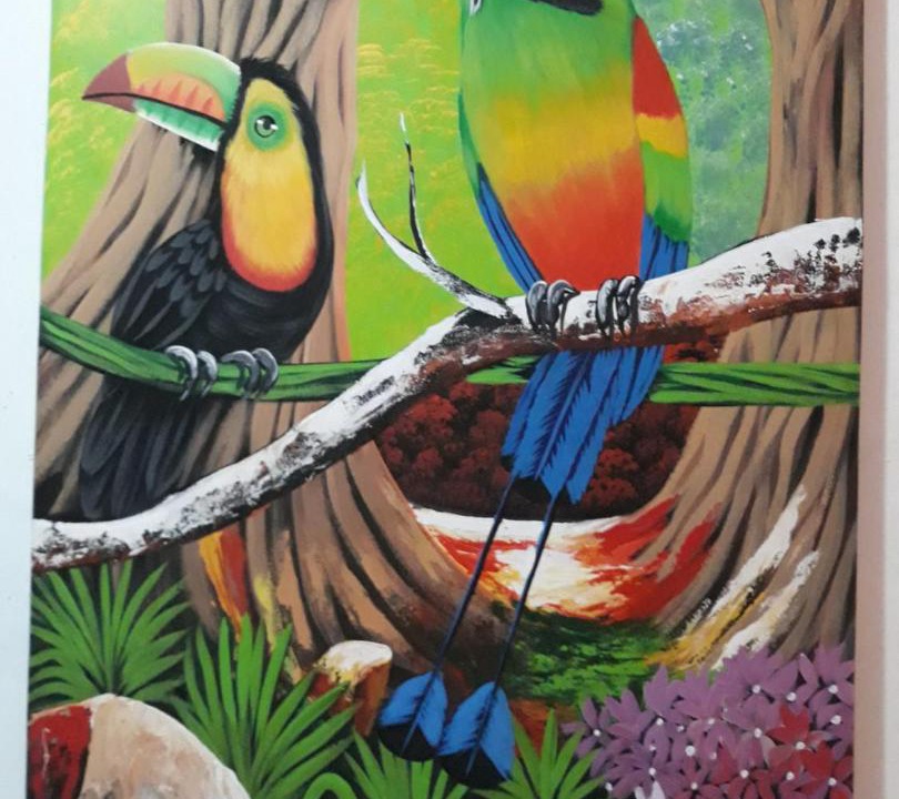 Photo of Others in San Juan del Sur