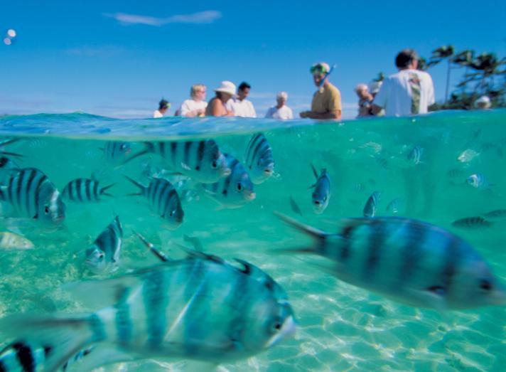 Photo of Others in Matathawa Island