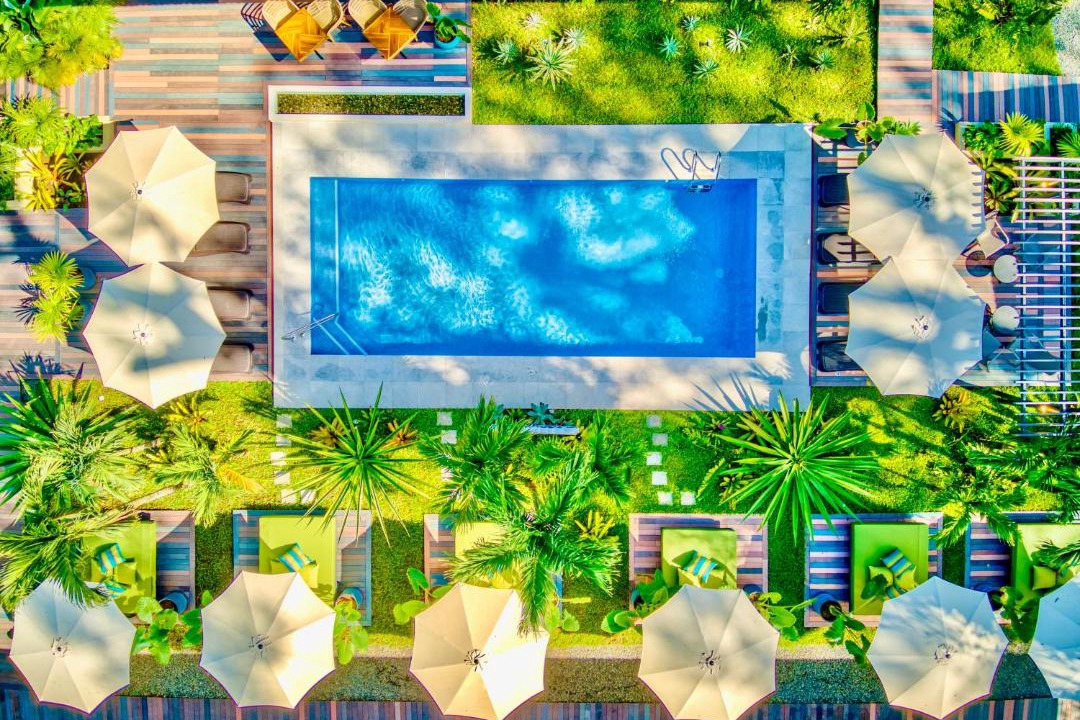 Photo of Others in Manzanillo