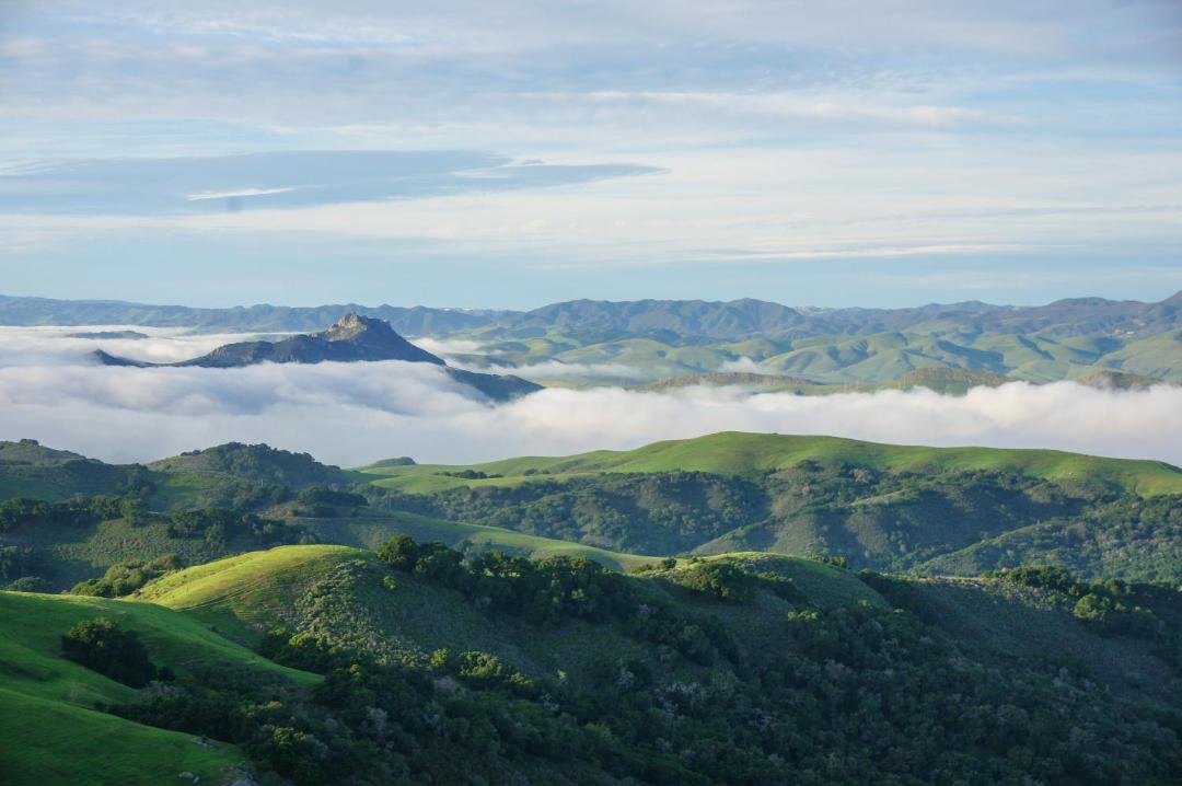 Photo of Others in San Luis Obispo