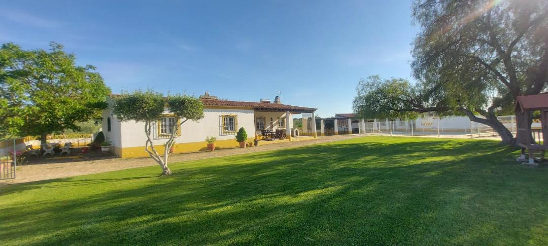 Photo of Buildings in Viana do Alentejo