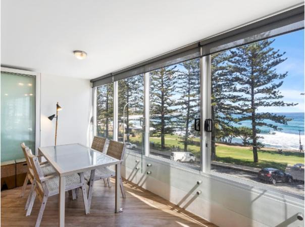 Photo of Others in Burleigh Heads