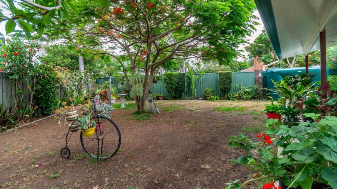Photo of Others in Bongaree