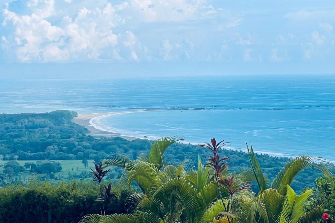 Photo of Others in Uvita