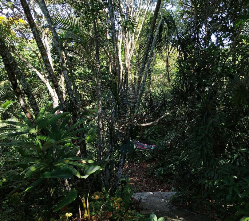 Photo of Outdoor in Daniel Flores