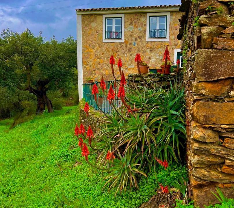 Photo of Others in Portalegre