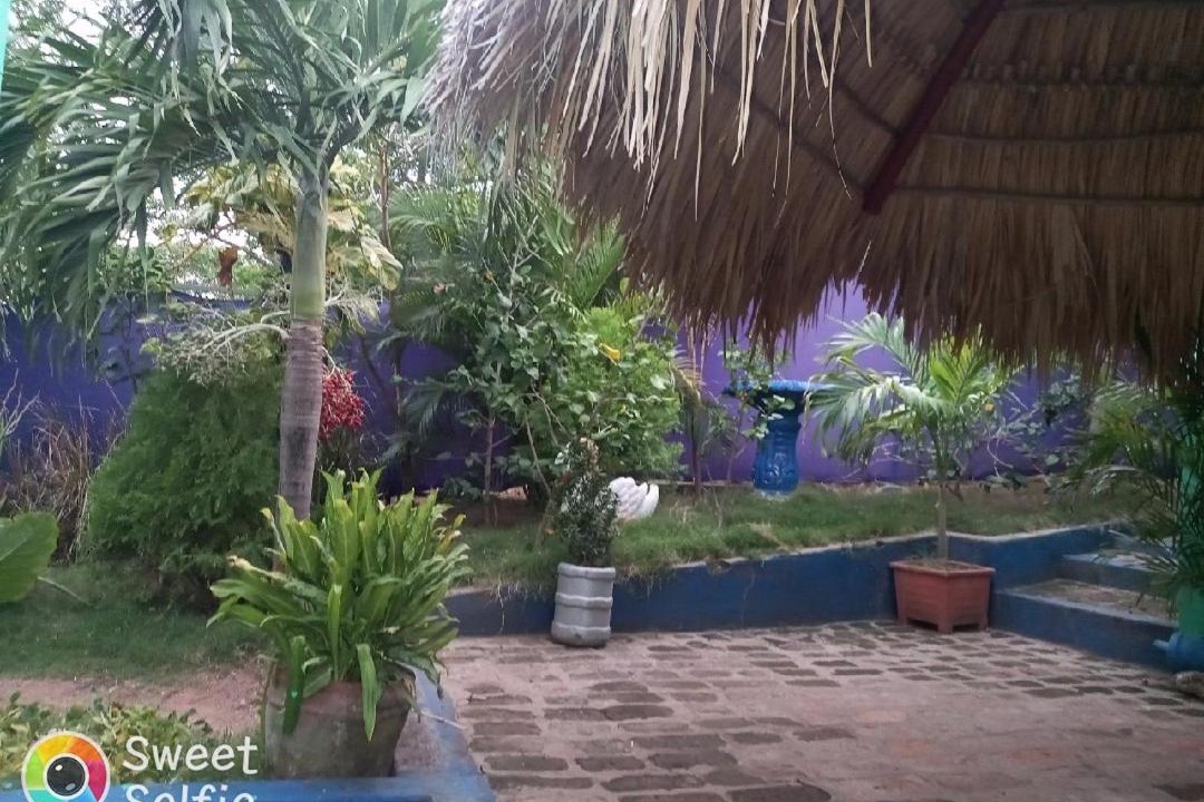 Photo of Others in El Gigante