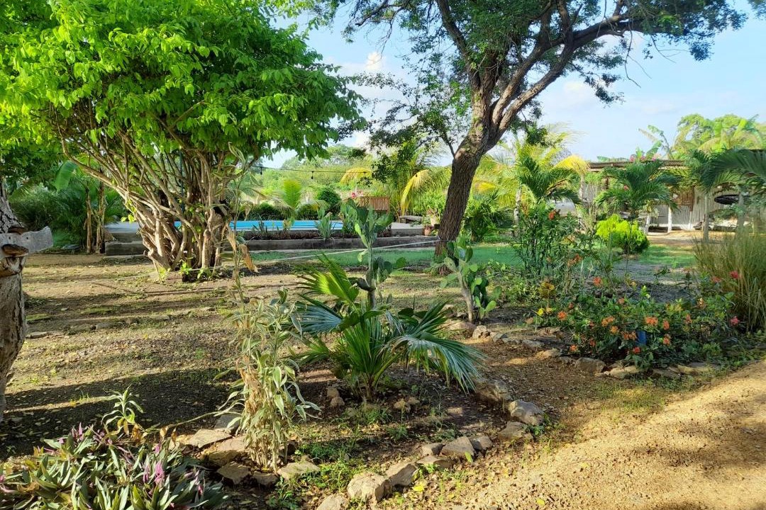 Photo of Outdoor in Popoyo