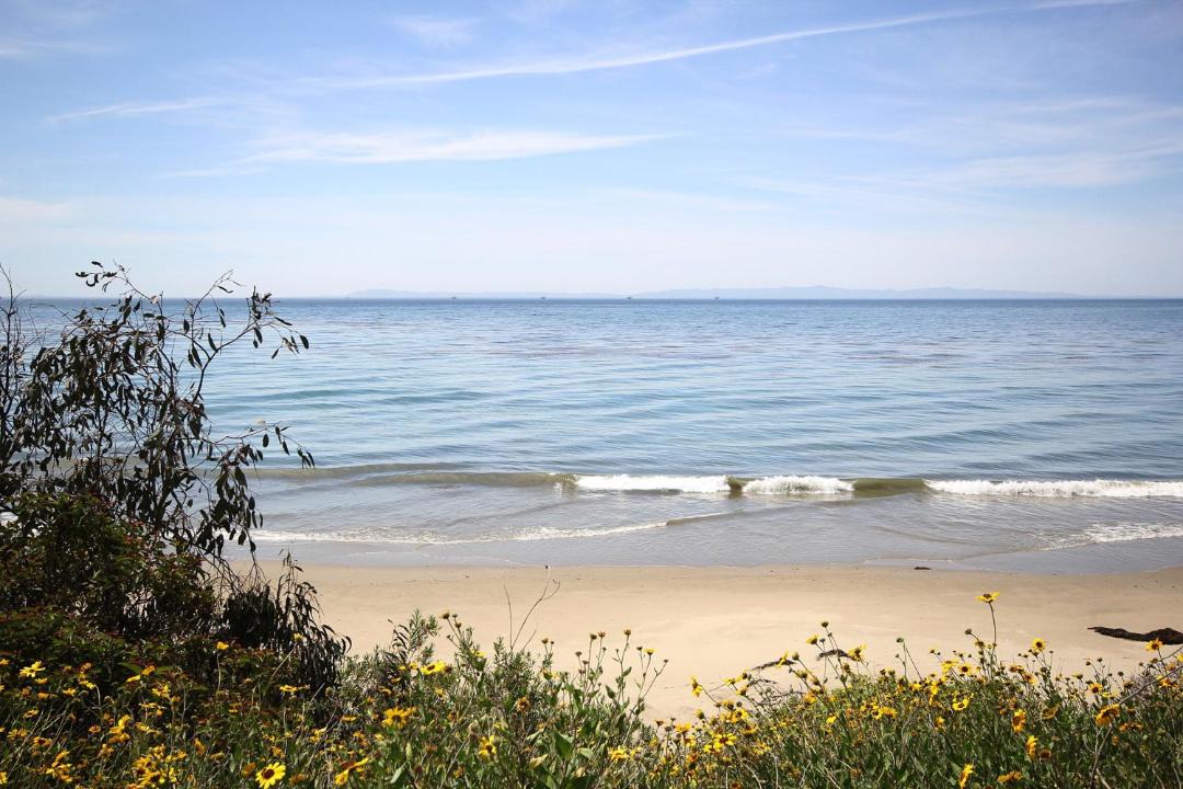 Photo of Others in Summerland