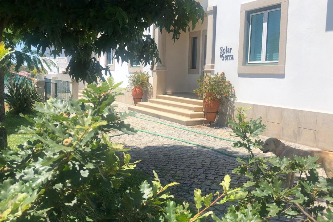 Photo of Others in Mangualde